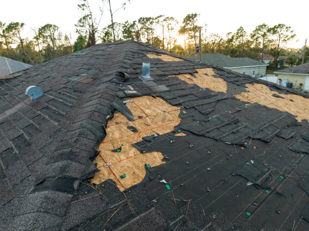 Best Solar Panel Roofing Installation  in Bethel, NC